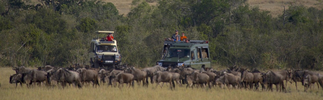 Masai-Mara-Game-drives