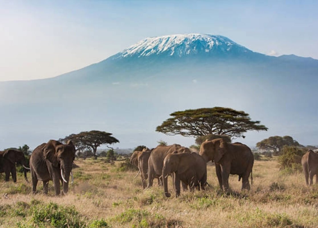 Mount-Kilimanjaro-1