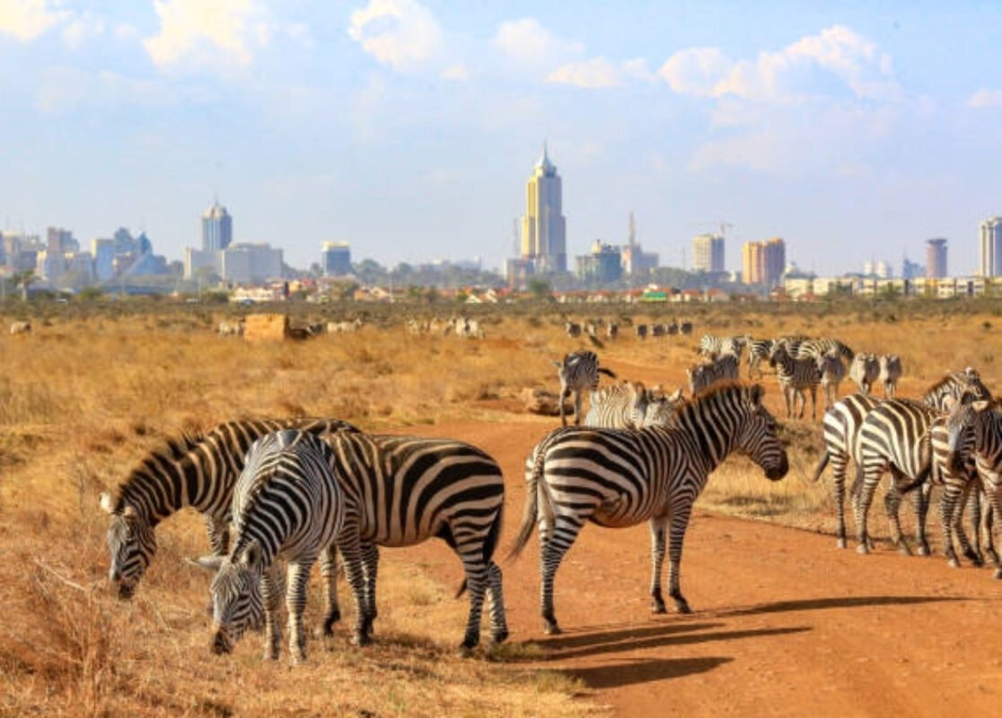 Nairobi-National-Park-1