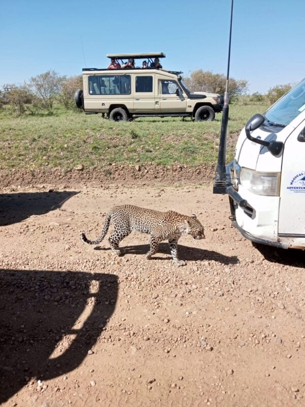 Magical Kenya Retreats Tourism